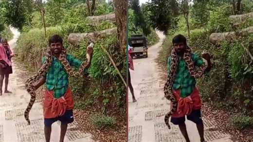 മലമ്പാമ്പിനെ കഴുത്തിലിട്ട് യുവാവിന്റെ അഭ്യാസം, സംഭവം അട്ടപ്പാടിയിൽ