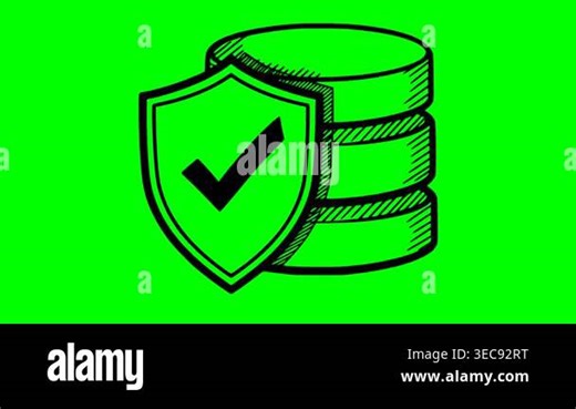 Hand drawn style animation of a database server with a security shield on green chroma key background. Black fill sketch icon representing data protection and cyber security for motion graphics Stock Video Footage - Alamy