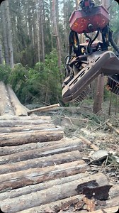 384 reactions · 3 comments | Baumann Alexander on Reels | Facebook