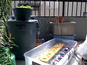 Homemade Musical Fountain