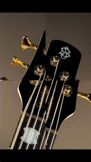 Spector Icon NS-5 Bolt-On Black Stain Gloss