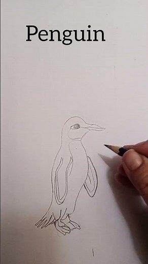 How to Draw a Penguin Step by Step #penguin #viral #drawing