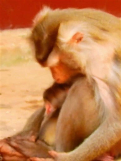 Relaxing Healing Stress, Anxiety and Depressive States, Heal Mind, Body and soul