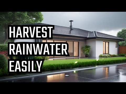 Rain Roof: A Step-by-Step Guide to Rainwater Harvesting