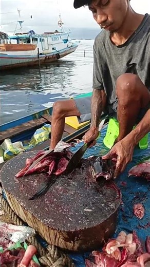 THE CHARM OF A SHARP MACHINE, THIS YOUNG MAN CUT A MEDIUM-SIZED TUNA ON THE BEACH