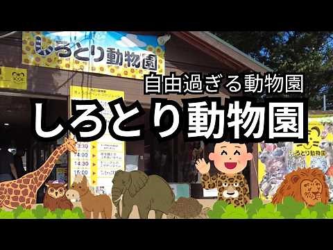 【Japan trip】Shirotori Zoo: Ultimate animal interaction in Higashikagawa City, Kagawa Prefecture!