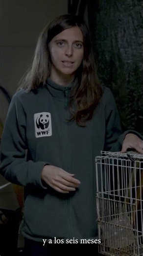 Shut down mink farms