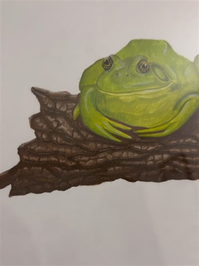 Frog & Ink on Instagram: "So happy with how this commission turned out! This is a gouache painting of an American Bullfrog and a Pacific Chorus Frog, contrasting a big goofy frog and a small cute frog, which was a main task of this piece. Thank you @bre__guzman for trusting me with this and I hope your parents like it. I love seeing it up in their home! My commissions are open if you are interested! Please reach out and I’ll be happy to talk through your ideas! #frogs #wildlifeart #animals #amph