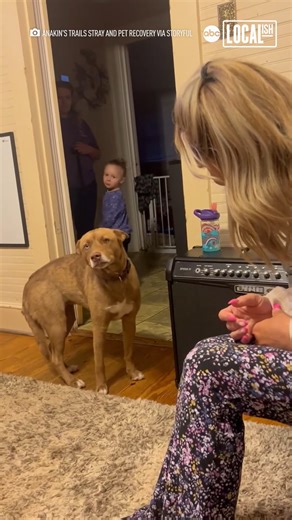 30M views · 146K reactions | This dog spent 5 months lost in the wilderness — see the exact moment she recognizes her owner again 梁❤️ | Localish | Facebook