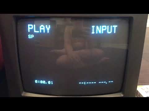 Opening To The Baby Dolittle World Animals 2002 VHS