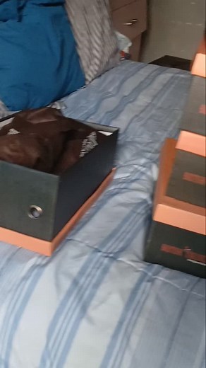 Uncle L on Instagram: "My Bronx collection. Shoe game. 👞"