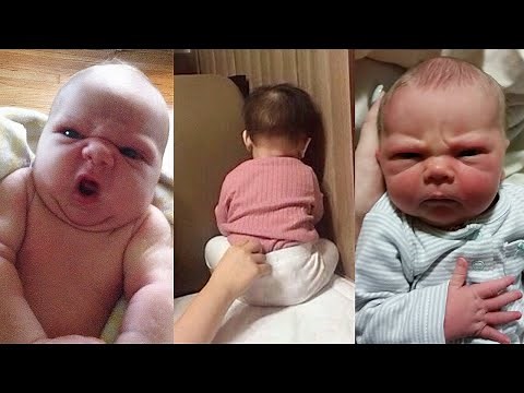 Top 100 Funny Angry Babies | Funny Videos