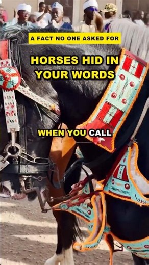 Why 'Chivalry' Is Secretly About Horses
