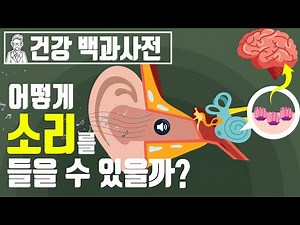 How are we able to hear sounds? How hearing works @All Knowledge of the World