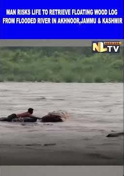 MAN RISKS LIFE TO RETRIEVE FLOATING WOOD LOG FROM FLOODED RIVER IN AKHNOOR,JAMMU & KASHMIR