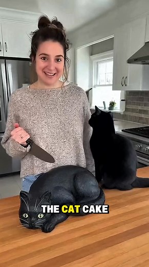 557K views · 8.1K reactions | Real Cat Gets Angry at Woman Cutting a Cat-Shaped Cake!  #talkingparrot #funnyparrot #parrot #shortsreels | Famous Creative | Facebook