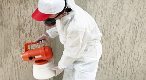 Dératisation : à qui faire appel ?