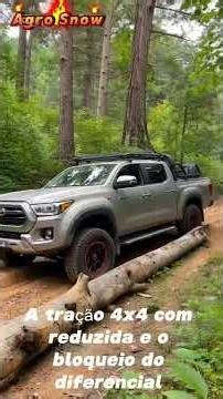 The 3 Best Pickup Trucks for Crossing the Trans-Amazonian Highway