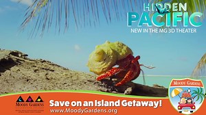 Journey to the Rainforest and Aquarium pyramids, 3D and 4D theaters, with an afternoon cruise or hotel getaways with spa, golf and great dining. | Moody Gardens