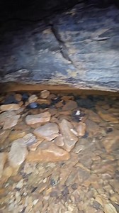 Finding cave frogs with the kids was such a cool experience! #kids #explore #Missouri #cave #caving #fyp #reels #video #videos | Dbdoutdoors | Facebook