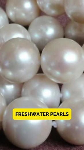 5.4K views · 108 reactions | ✨ Did you know? Freshwater pearls are formed in mussels living in rivers and lakes, not oceans!  Their soft luster and natural pastel tones make each one unique — and their value lies in that individuality and organic charm. 懶 #freshwaterpearls #jewelryfacts #pearljewelry #gemstonebeauty #elegantstyle | International Gem Society | Facebook