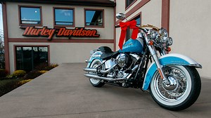 Is your 'hog' on the recall list? Harley-Davidson recalls 238,300 motorcycles