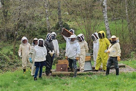 Leçons d'apiculture au rucher pédagogique du Ponty, à Ussel, avec le CPIE de la Corrèze