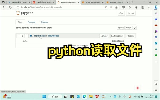 python读取文件