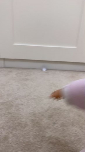 Experiencing Sharjah: Culture and Events Highlights