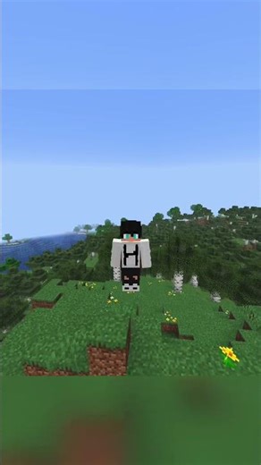 Blok Paling Underrated! #minecraft #minecraftbuilding #minecraftjava