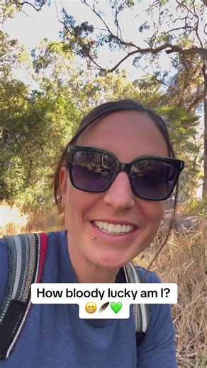 Amazing Encounter with Eastern Whipbirds in the Australian Bush