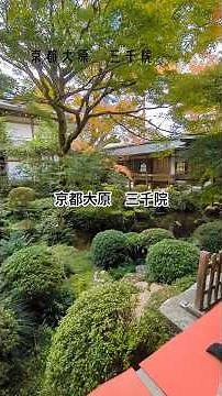 京都大原三千院の紅葉#京都#大原#三千院#紅葉#kyoto #旅行