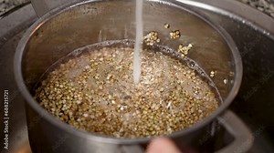 The process of cooking buckwheat grains with washing in running water in a saucepan in the kitchen sink close up in slow motion