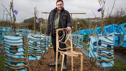 Le designer Gavin Munro fait pousser les chaises en guidant naturellement la pousse des arbres