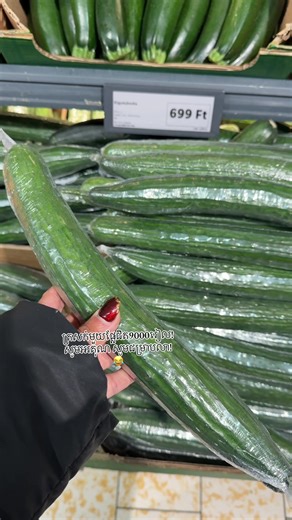 Good bye, cucumber in this winter season! #hungary #nekedbe #fyp #cambodia #khmer