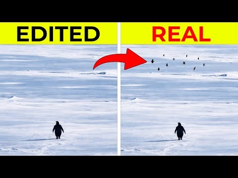 Famous Stories That are Fake