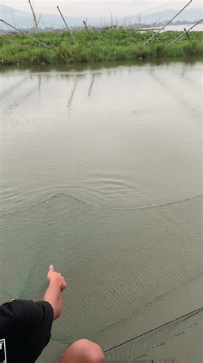 Rekomendasi Jaring Ikan untuk Pemancing Handal