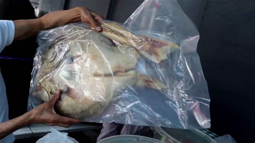 El Salvador Street Food | Trying SALVADORAN FOOD