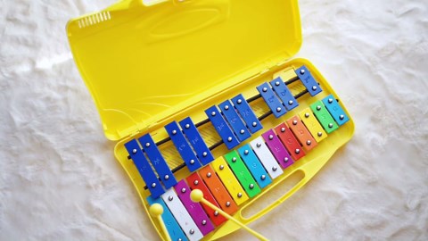 Glockenspiel Xylophone for Kids Adults 25 Notes Rainbow Key Xylophone with Case for Student Beginners Instruments Christmas Gifts