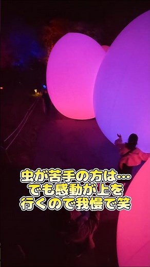 GWはここにいくのだ！今年人気の観光地千葉県のチームラボ養老渓谷どうだ！ #ゴールデンウィーク #チームラボ #養老渓谷