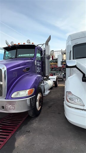 Weekly inventory walk-through 👀 #calitrucksinc #freightliner #peterbilt #paccar #fypシ゚viral