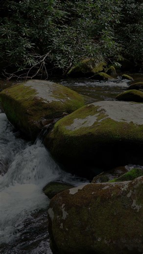 Smoky Mountain River