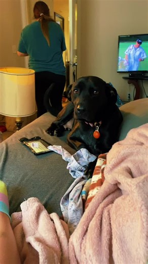 Steven Hancock (@stevenh1390)’s videos with You Ain't Dolly (And You Ain't Porter) [Duet with Blake Shelton] - Ashley Monroe