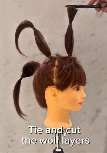 ゴムで縛って切って、キレイに繋がる簡単ウルフレイヤーの切り方。 セルフカットにオススメです！ How to cut a simple wolf layer that is tied and cut with rubber and connected beautifully. Recommended for self-cutting! 用橡皮筋绑起来切割，连接得很漂亮的简单狼层的切割方法。推荐给自己剪发！ 고무로 묶어서 자르고, 깨끗하게 연결되는 간단한 울프 레이어 자르는 방법. 셀프 컷에 추천합니다! Cómo cortar una simple capa de lobo que se ata y se corta con una banda de goma y se conecta maravillosamente. ¡Recomendado para autocorte! Como cortar uma camada de lobo simples que é amarrada e cortada com um elástico e conectada lindament