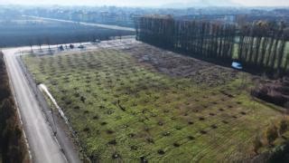 🌳 Forest of Energy, in memory of Mario Carraro (Mecc Alte's founder) Mecc Alte is committed to environmental sustainability. The New Project “Forest of Energy, in memory of Mario Carraro” involves planting 350 trees in the city of Creazzo (VI) through a partnership with Beleafing. The plants will contribute to absorbing nearly 110 tons of CO2 per year, an amount equal to the annual emissions produced by 92 cars! #Environment #Sustainability 🌳 Bosco dell’Energia, in ricordo di Mario Carraro Mec