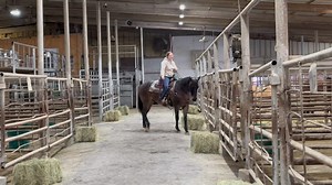 4.3K views · 28 reactions | LOT #47 “Keepin Gus Classy” 2020 AQHA...