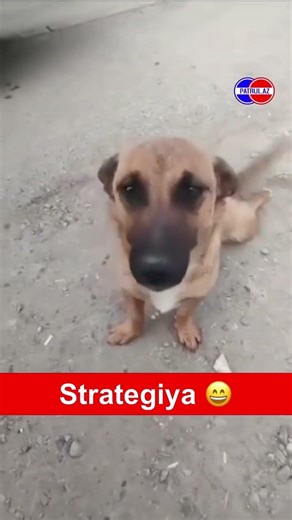 #free #aftoslar #azerbaijan #buölkedayoutube #th #vaz2106 #vaz2107 #keşfetteyiz #keşfetteyizz