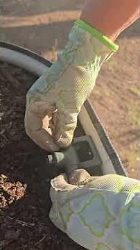 How to install Irrigation Kit ‪@vego_garden‬ #vegogarden #irrigation #howtoinstall