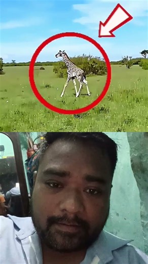 दुनिया मै सबसे बड़ी ताकत माँ होती है 💪💪#maa #mother #attack #like #comment #shere #youtubeshorts