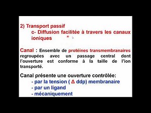Cell Biology S1 | Plasma Membrane 3 (Passive Transport) | Video 9 (part 1)
